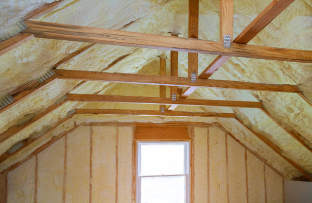 Best Insulation Maintenance and Repair in Center, TX
