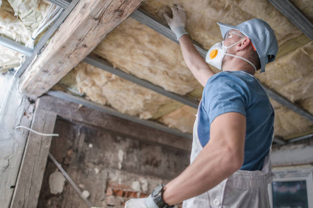 Best Eco-Friendly Insulation in Center, TX